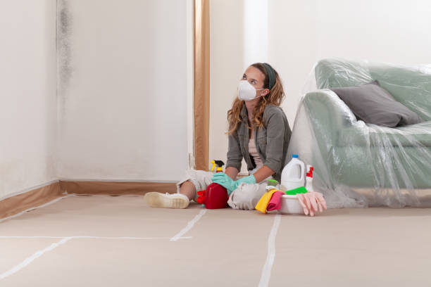 Reliable Mold Remediation contractor in Lawrenceville, VA by Car Mold Remediation